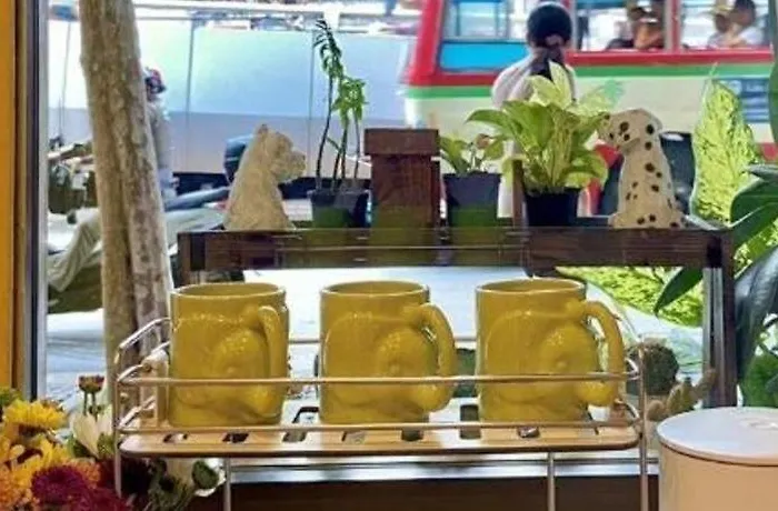 Oyo 480 Lemon Siam